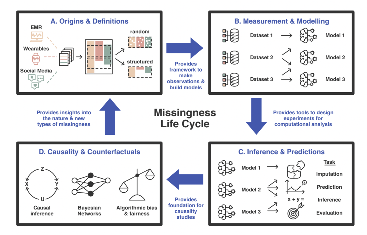 Overview of the structured missingness (SM) life cycle [Text adapted from: ]. A. In a given dataset, data may come from different sources and modalities. Some examples are electronic medical records (EMR), wearable devices, or social media. Data may not be collected at the same time or for the same individuals in each case, which may result in both random and SM when joining these data sources together. Researchers are working on developing tools to minimize the effects of SM on any downstream analysis. B. Unique models can be built using different combinations or portions of datasets. However, SM may affect how models learn from data and cause bias. Researchers similarly need to develop tools that handle and adapt SM appropriately. C. These models can then be used to perform analysis, inferences, and predictions. Effective data imputation can have a large impact on results. Therefore, it is important to evaluate and benchmark the consequences of data imputation.  D.  Often the end goal of a scientific exploration is to understand causality between different variables. Inferences obtained can provide the foundation for determining causality and counterfactuals, but can be compromised by the presence of SM. The SM life cycle then repeats as these insights can be used to further understand the missingness of the data.